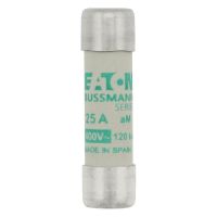 Sicherungseinsatz Nieders. C10M25
