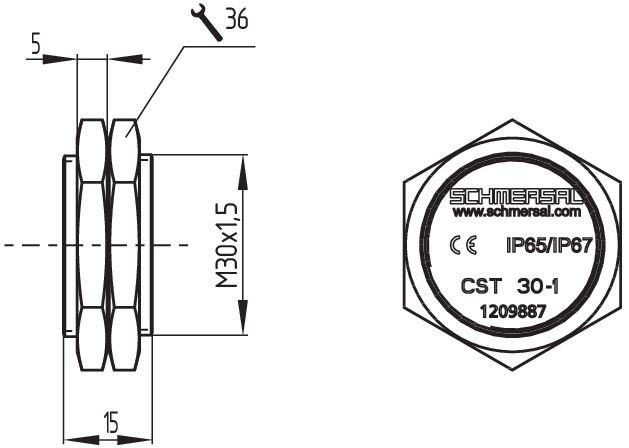 Betätiger CST 30-1