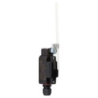 Positionsschalter 8070/22DDU60 #258233