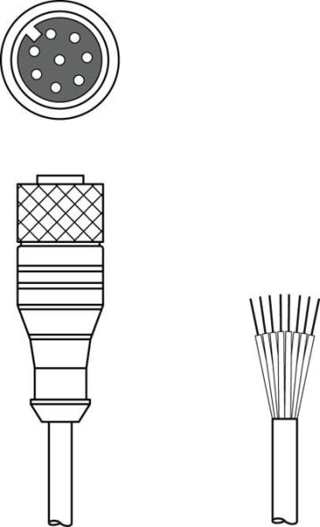 Anschlussleitung KD S-M12-8A-P1-250 Anschlussleitung KD S-M12-8A-P1-250