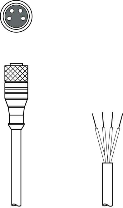 Anschlussleitung KD U-M8-4A-P1-200 Anschlussleitung KD U-M8-4A-P1-200