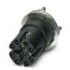 Einbaubuchse SACC-CI-M12F#1402457