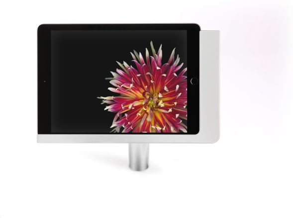 iPad Tischständer 371216 iPad Tischständer 371216