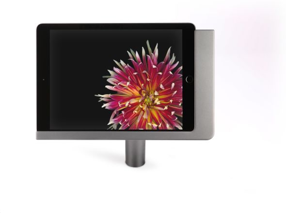 iPad Tischständer 371217 iPad Tischständer 371217
