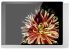 iPad Wandhalterung 510160