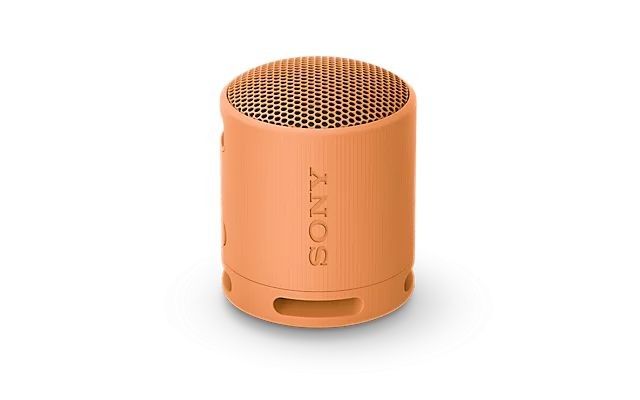 Bluetooth-Lautsprecher SRSXB100D.CE7 Bluetooth-Lautsprecher SRSXB100D.CE7