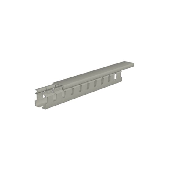 Verdrahtungskanal Höhe= CD 30X60 8/12 GY Verdrahtungskanal Höhe= CD 30X60 8/12 GY