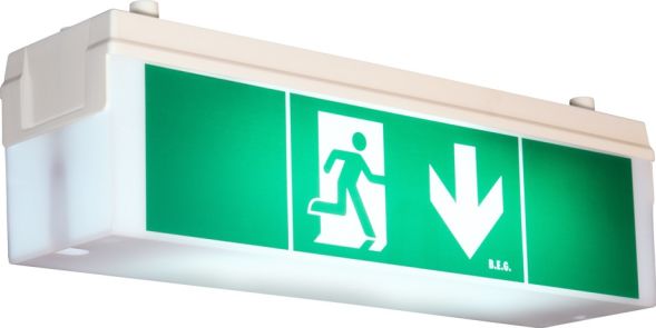 Rettungszeichenleuchte 2DN14/Kombi-GL Rettungszeichenleuchte 2DN14/Kombi-GL