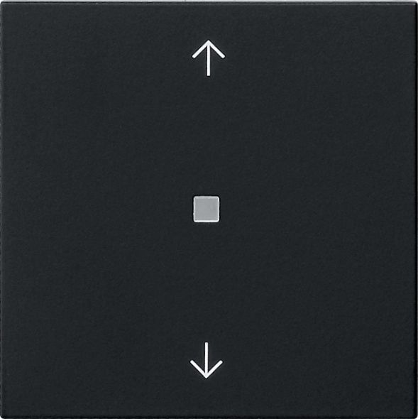 Wippe 1-fach 5388005 Wippe 1-fach 5388005