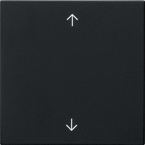 Wippe 1-fach 5389005 Wippe 1-fach 5389005