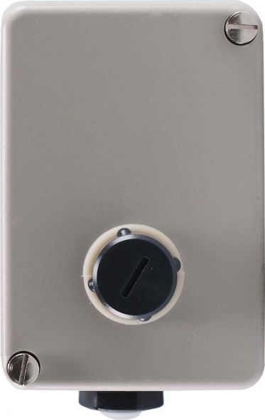 Thermostat 60001525 Thermostat 60001525
