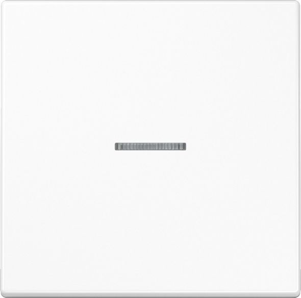 KNX RF Taster 1fach LS 10911 ST RF WW KNX RF Taster 1fach LS 10911 ST RF WW