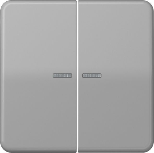 KNX RF Taster 2fach CD 10921 ST RF GR KNX RF Taster 2fach CD 10921 ST RF GR