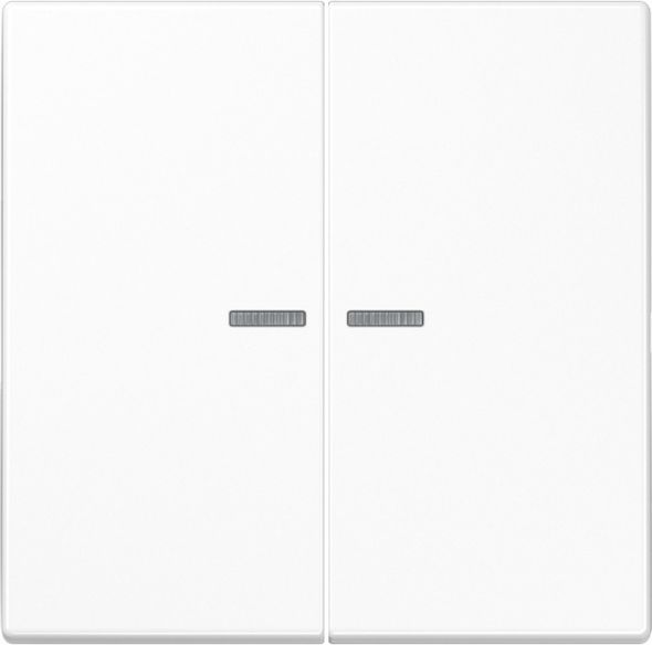 KNX RF Taster 2fach LS 10921 ST RF WW KNX RF Taster 2fach LS 10921 ST RF WW