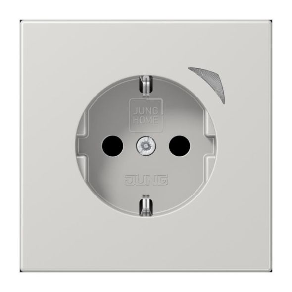 SCHUKO Steckdose 16 A 250V BT LS 1521 SE LG SCHUKO Steckdose 16 A 250V BT LS 1521 SE LG