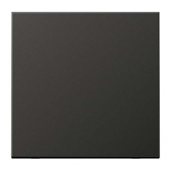 Steuertaste Standard AL 1700 AN anthrazit matt Steuertaste Standard AL 1700 AN anthrazit matt