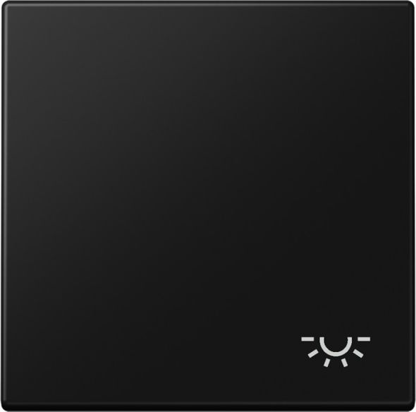 Wippe 1-fach LS 990 L SWM Wippe 1-fach LS 990 L SWM