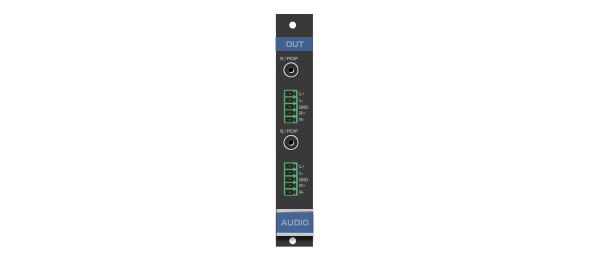 Audio-Ausgangskarte AAD-OUT2-F16/STANDAL Audio-Ausgangskarte AAD-OUT2-F16/STANDAL