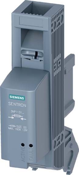 Griffeinsatz mit EFM15 3NP1931-1GB43 Griffeinsatz mit EFM15 3NP1931-1GB43