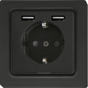 Schutzkontakt-Steckdose DSS55E+2xUSBA-am Schutzkontakt-Steckdose DSS55E+2xUSBA-am