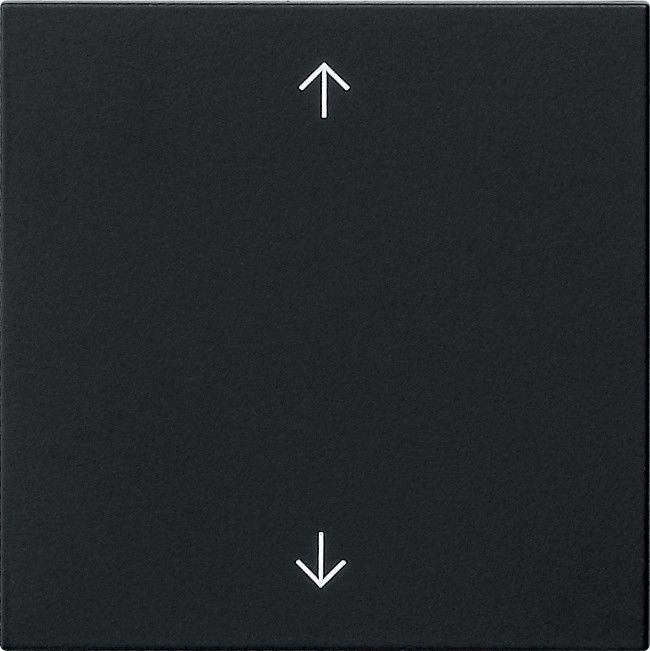 Wippe 1-fach 5389005
