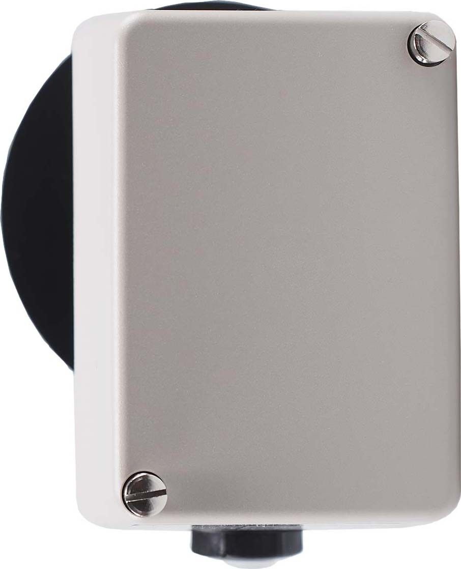 Abgas-Temperaturwaechter 60001115 Abgas-Temperaturwaechter 60001115