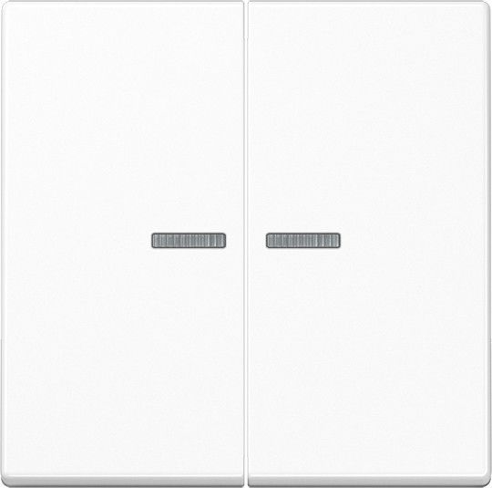 KNX RF Taster 2fach A 10921 ST RF BF WW