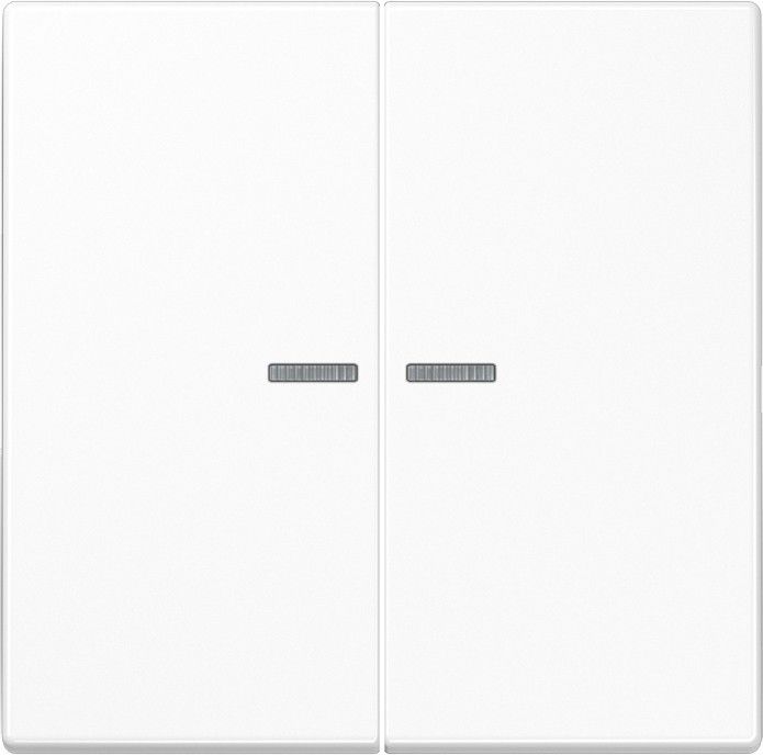 KNX RF Taster 2fach LS 10921 ST RF WW