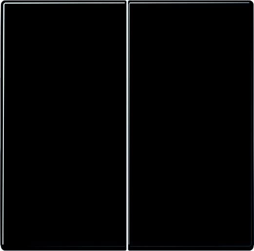 Steuertaste Standard 2-fach LS 1702 SW schwarz