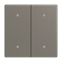 Wippe 2-fach 2570-20-803