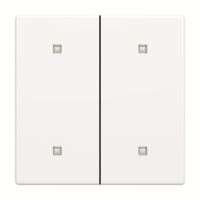Wippe 2-fach 2570-20-84