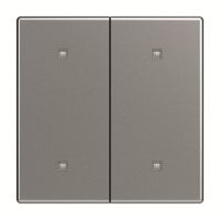 Wippe 2-fach 2570-20-866