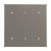 Wippe 3-fach 2570-30-803
