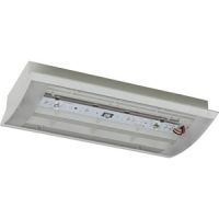 LED-Sicherheitsleuchte StyleII22011LEDSLCGS