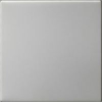 Wippe 1-fach 5372600
