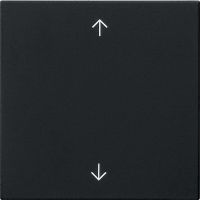 Wippe 1-fach 5389005