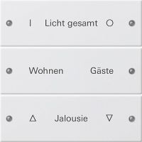 Wippenset 220327 3-fach reinweiß seidenmatt - alte Generation