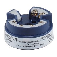Zweidraht-Messumformer 00391004