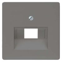 Netzwerk-Abdeckplatte 5TG1227 carbonmetallic