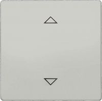 DELTA i-system Taste 5TC1321-0AM