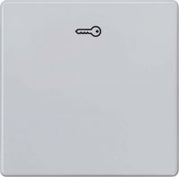 Wippe m.Symbol Türöff. 5TG6248