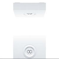 Sicherheitsleuchte RESCLITE P #42185713
