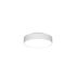 LED-Leuchte LUNXXS100.8301DALIws